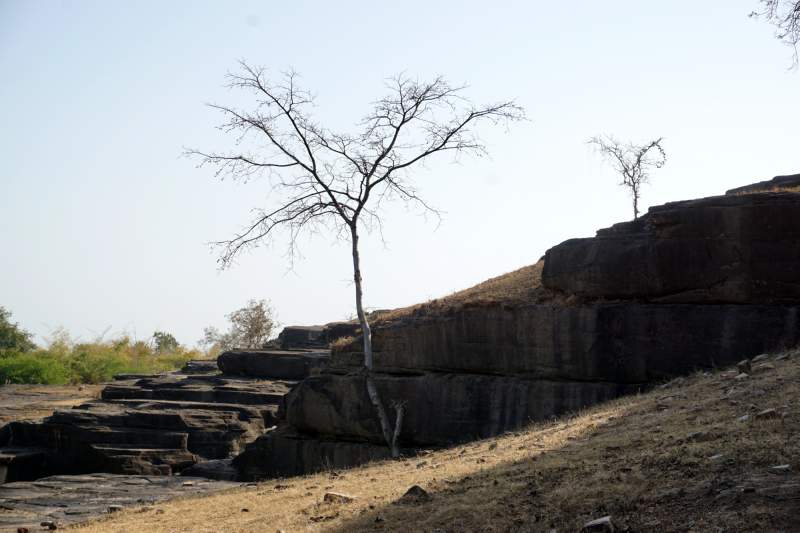 Rocks and Tree