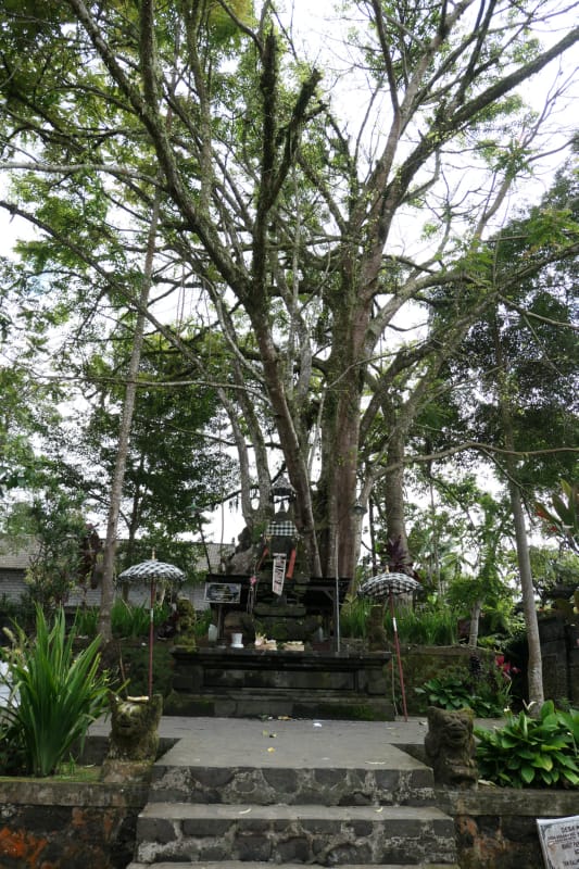 083 Seperate Shrine near Entrance