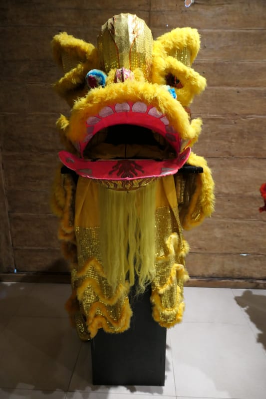 109 Lion Dance Costume