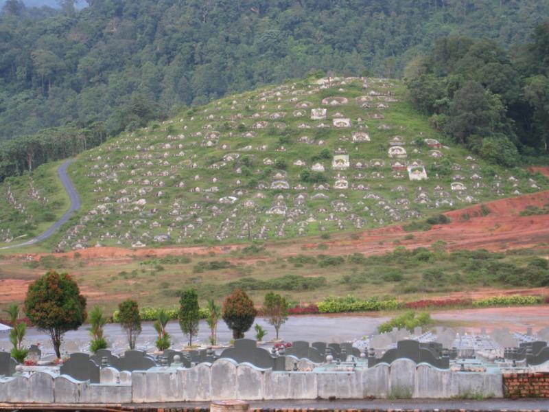 Graveyard View