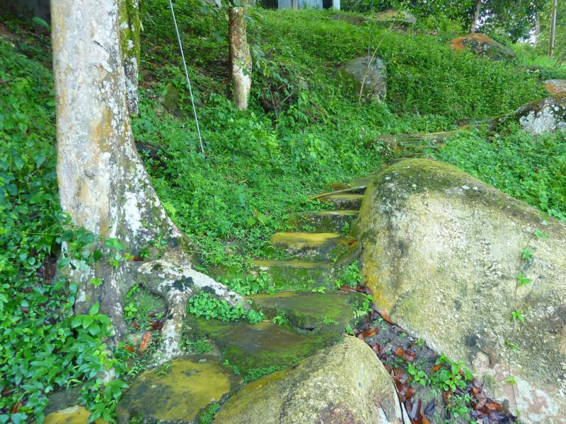 Pathway
