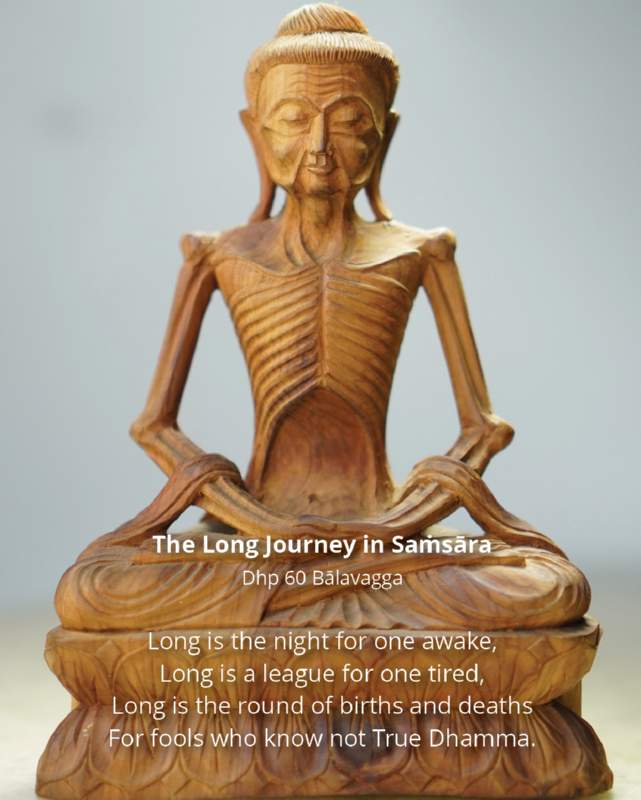 049 The Long Journey in Samsara