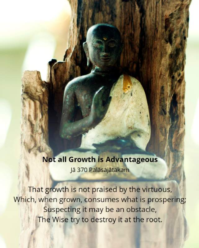 053 Not all Growth is Advantageous