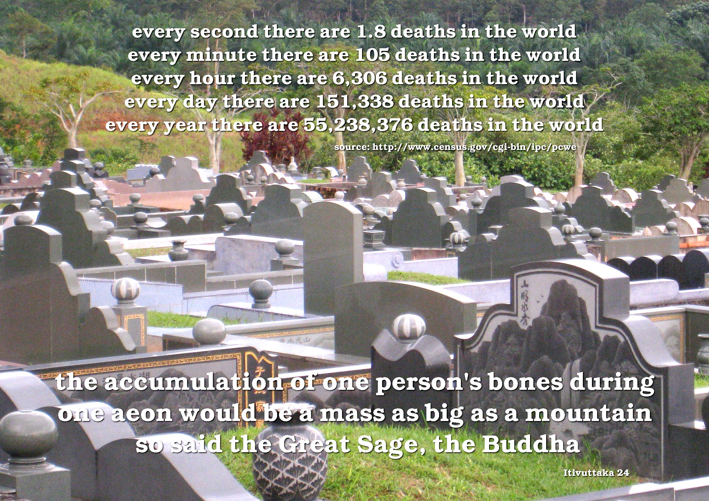One Person's Bones...