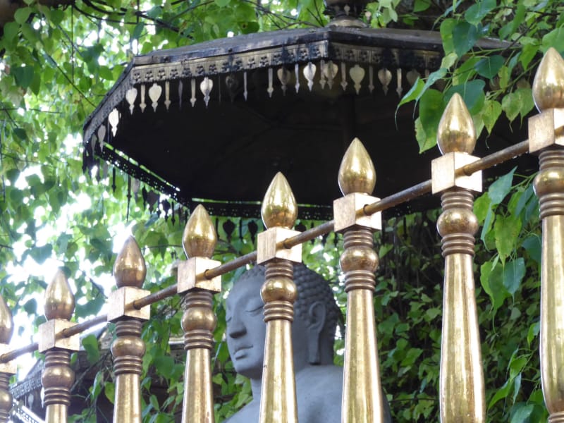 011 Buddha and Umbrella