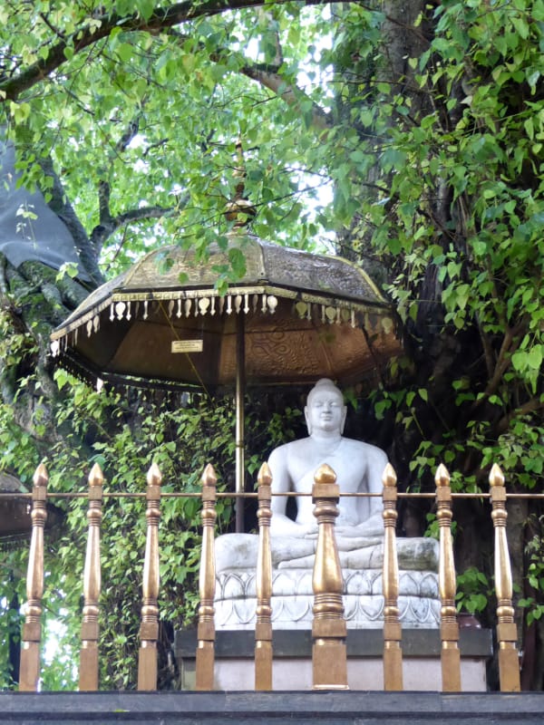 013 Buddha Statue