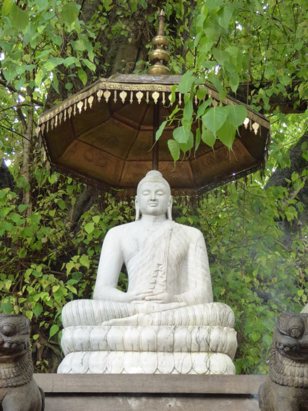 016 Buddha Statue and Bodhi Leaves