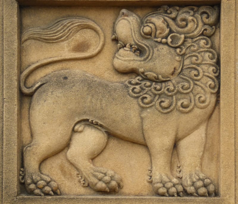 038 Lion