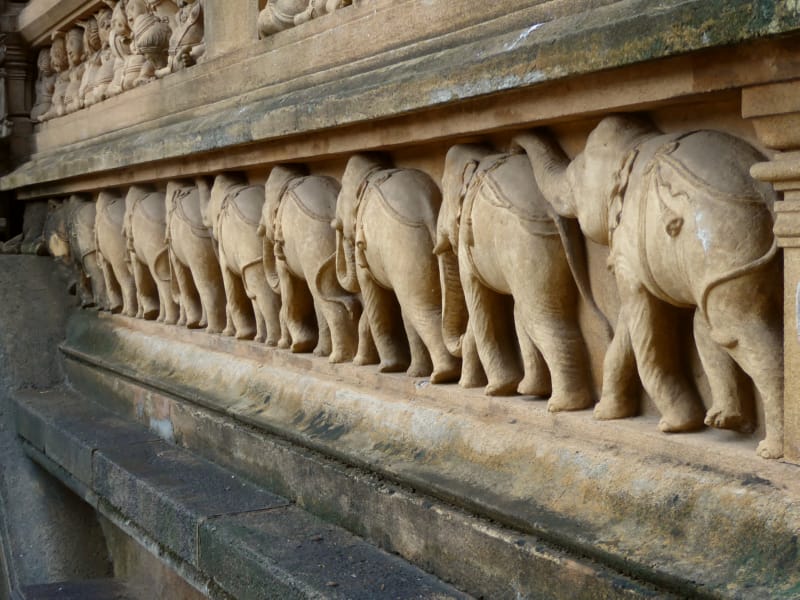 040 Elephants