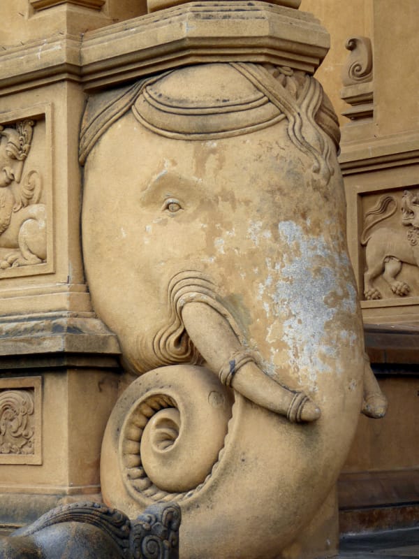 054 Elephant Head