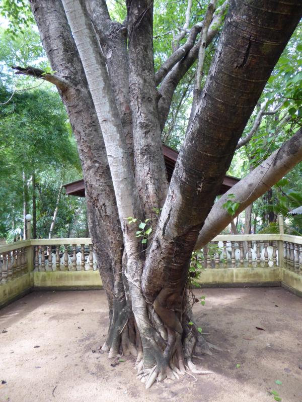 Sinhapura, Sri Lanka