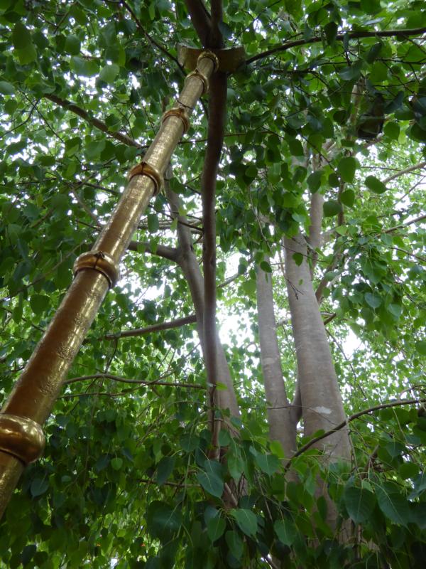 Prop for the Tree