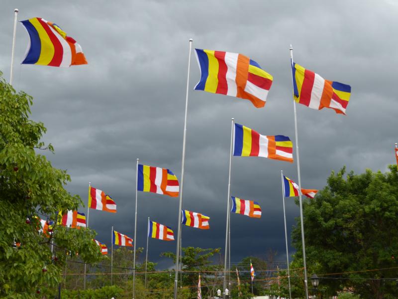 Buddhist Flags Fly High