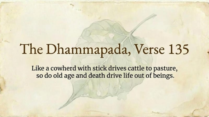 Dhp-a-10-05-Visakha-09