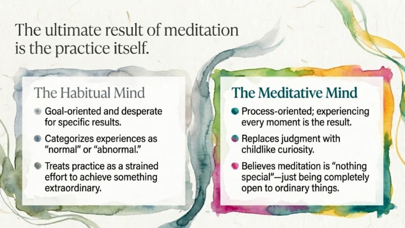 GW-2-02-Meditation-in-Daily-Life-03