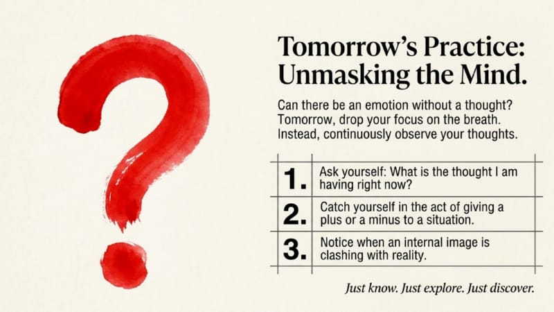 GW-3-04-Emotions-and-Meditation-13