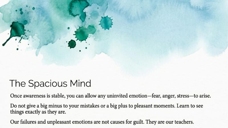 GW-3-06-Meditation-in-Daily-Life-07