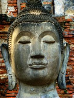 Dignified Buddha