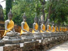 Rows of Buddhas