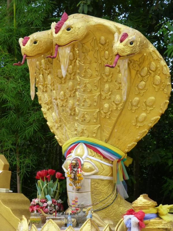 Naga Heads