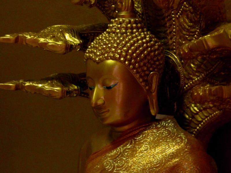 Buddha protected by Mucilinda